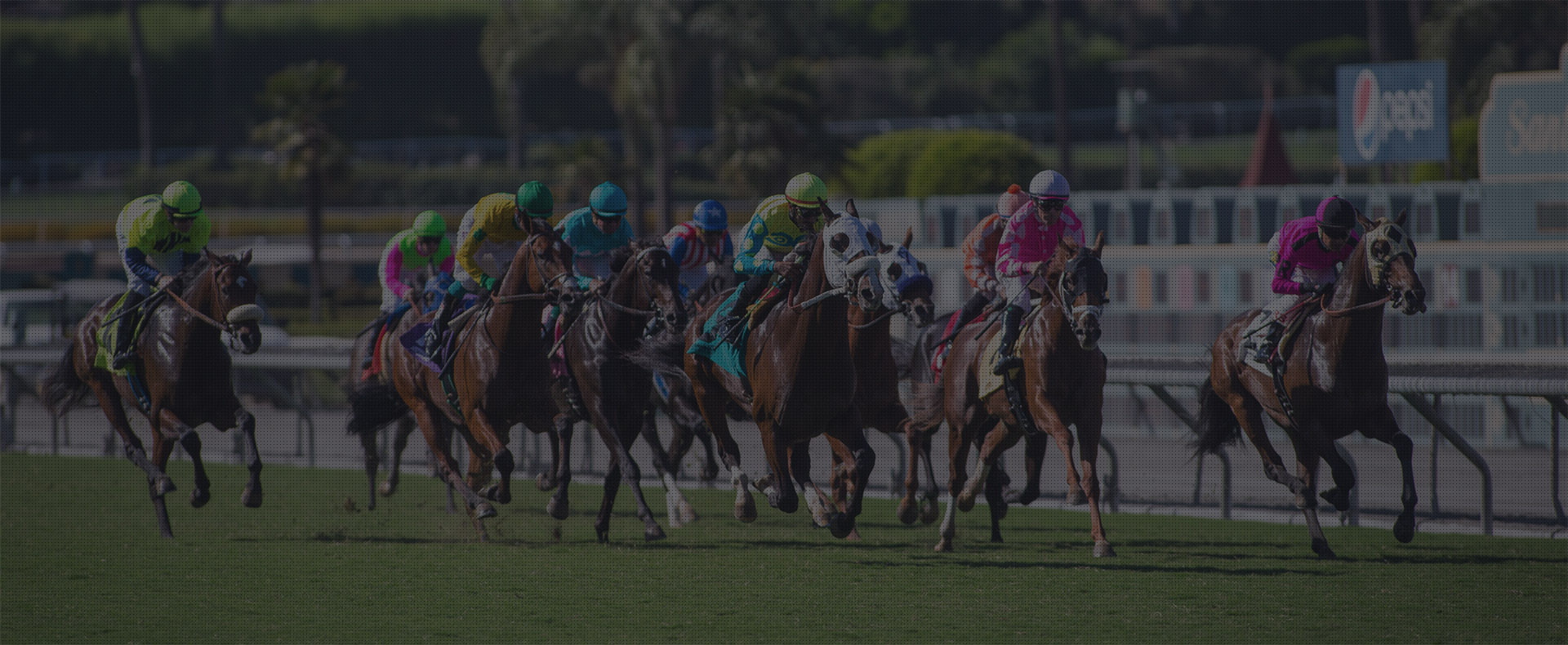 Santa Anita ShowVivor Contest Select Web Ventures Santa Anita ShowVivor Contest Select Web Ventures